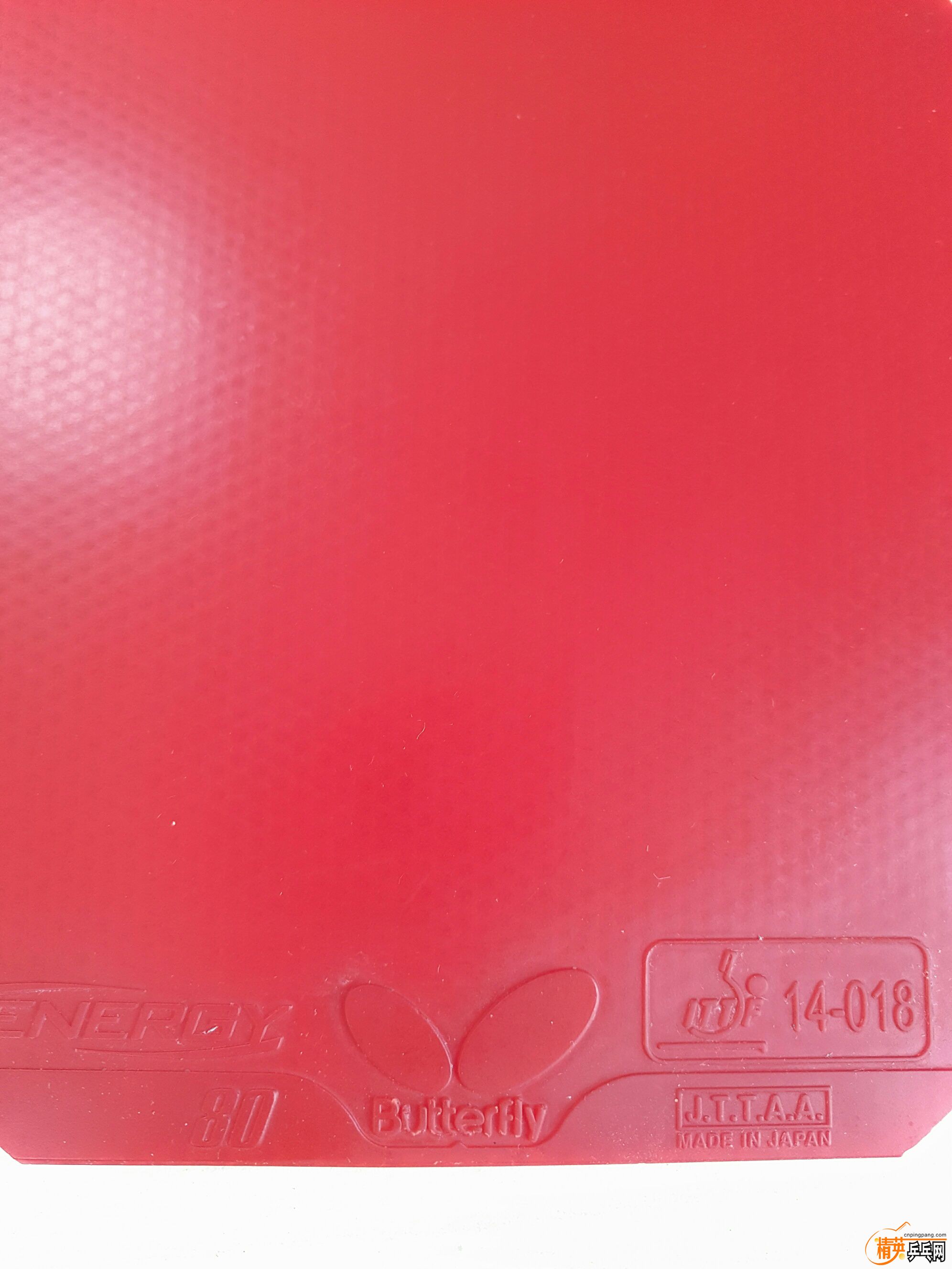 P80419-150026.jpg