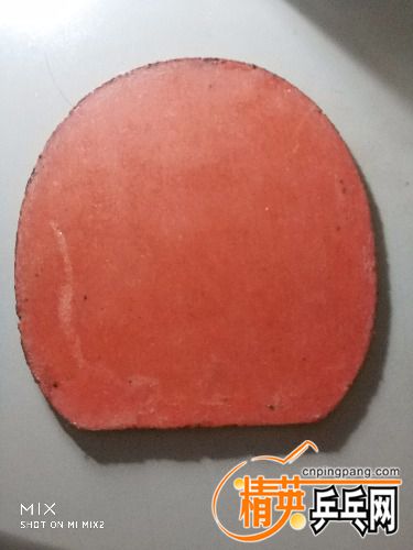 IMG_20180423_105524_1.jpg