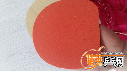 20180423_130133.jpg