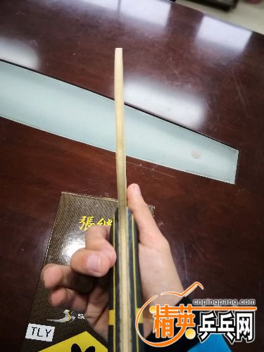 IMG_20180424_095129.jpg