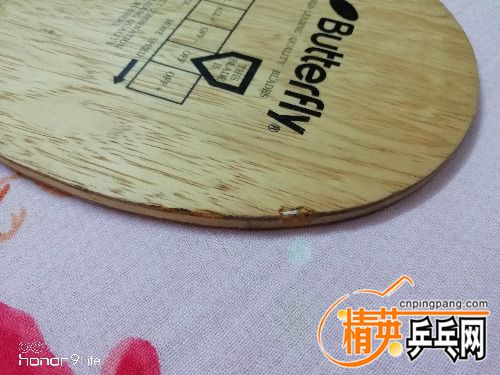 IMG_20180424_104018.jpg