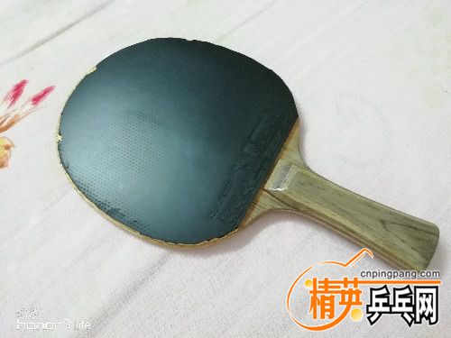 IMG_20180424_120724.jpg