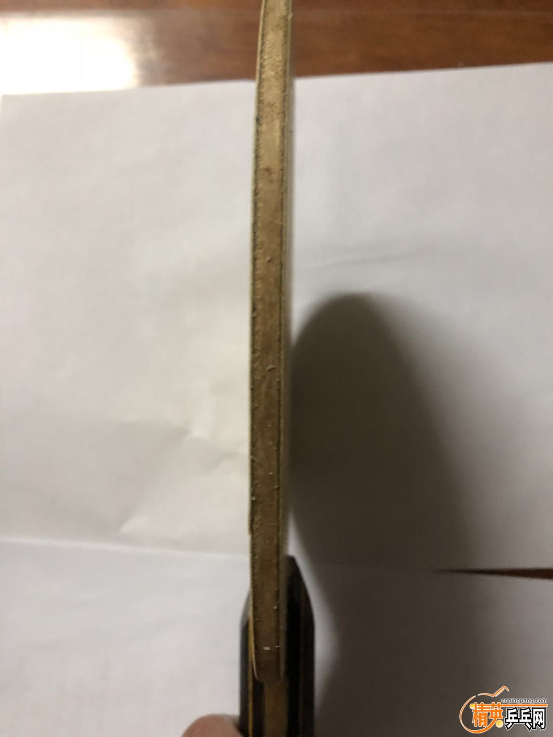 610559308777390129.jpg