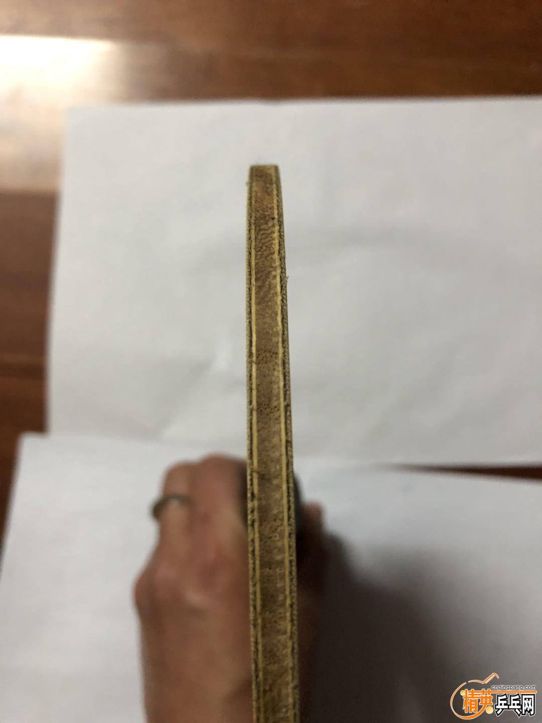 873727022135356898.jpg
