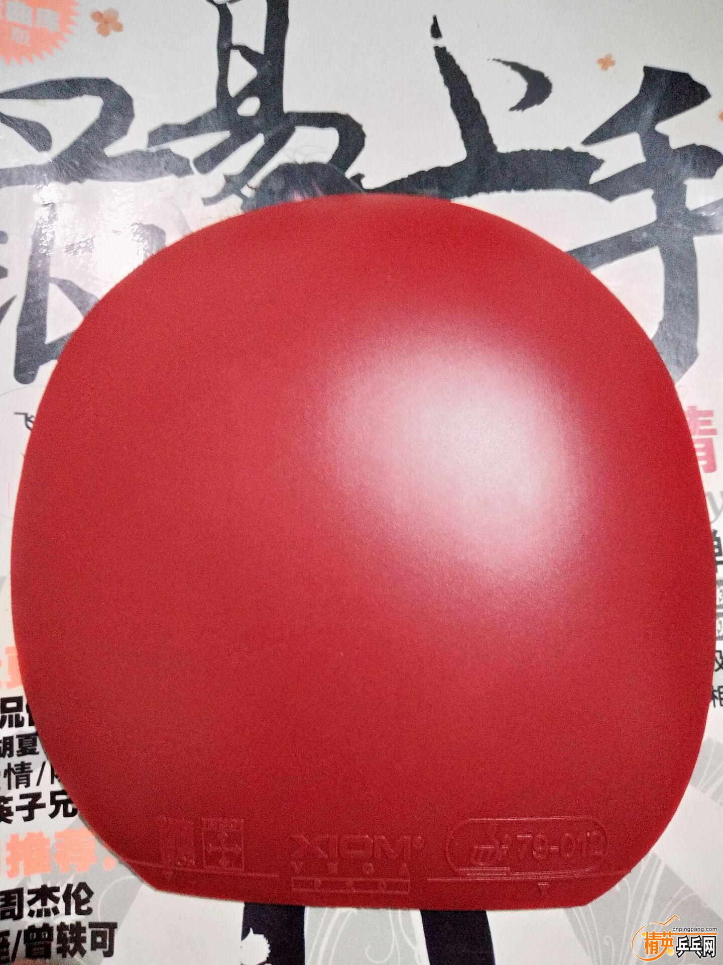 A6D31DB5C0593F45D6D1749F8F7F350D.jpg