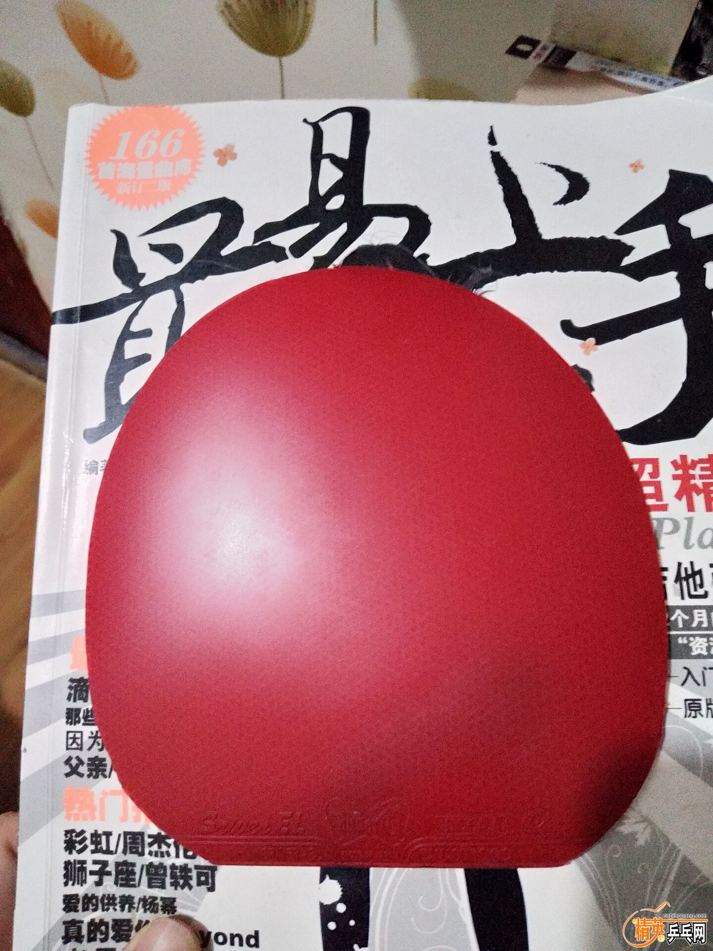 54006CB8F34397A5FBC1E943A9794B88.jpg