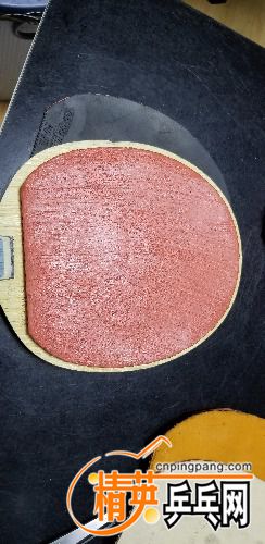 20180424_185532.jpg