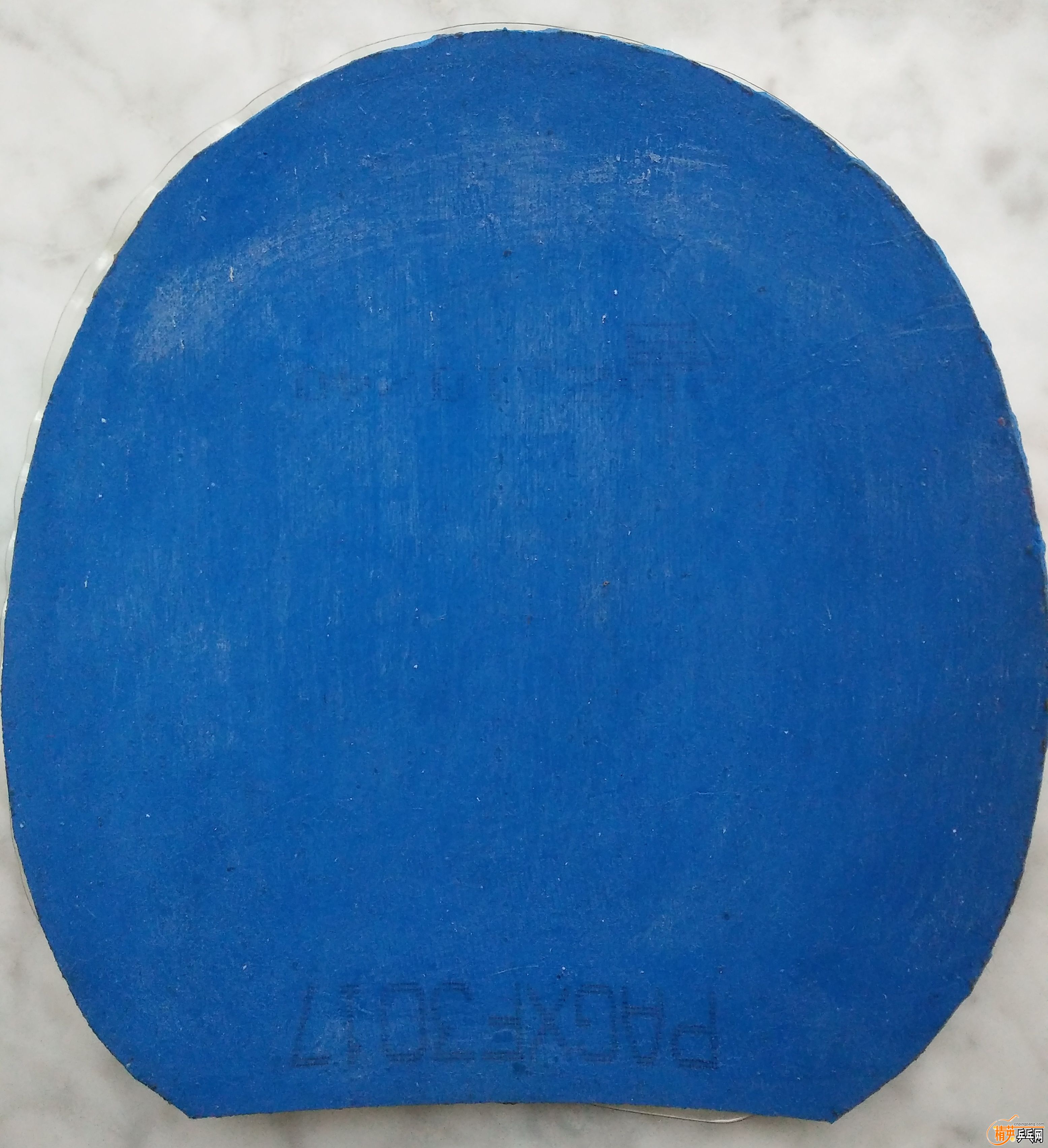 IMG20180428054656.jpg