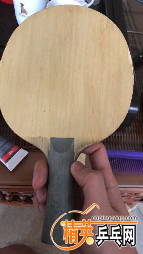 -384bd474c3949592.jpg