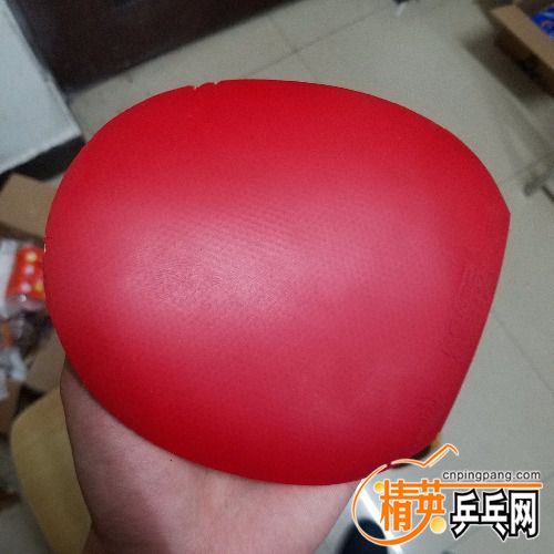 20180503_200427.jpg
