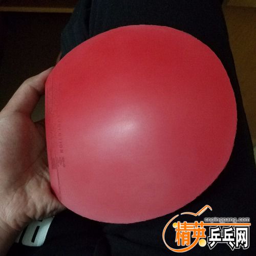 20180506_145255.jpg