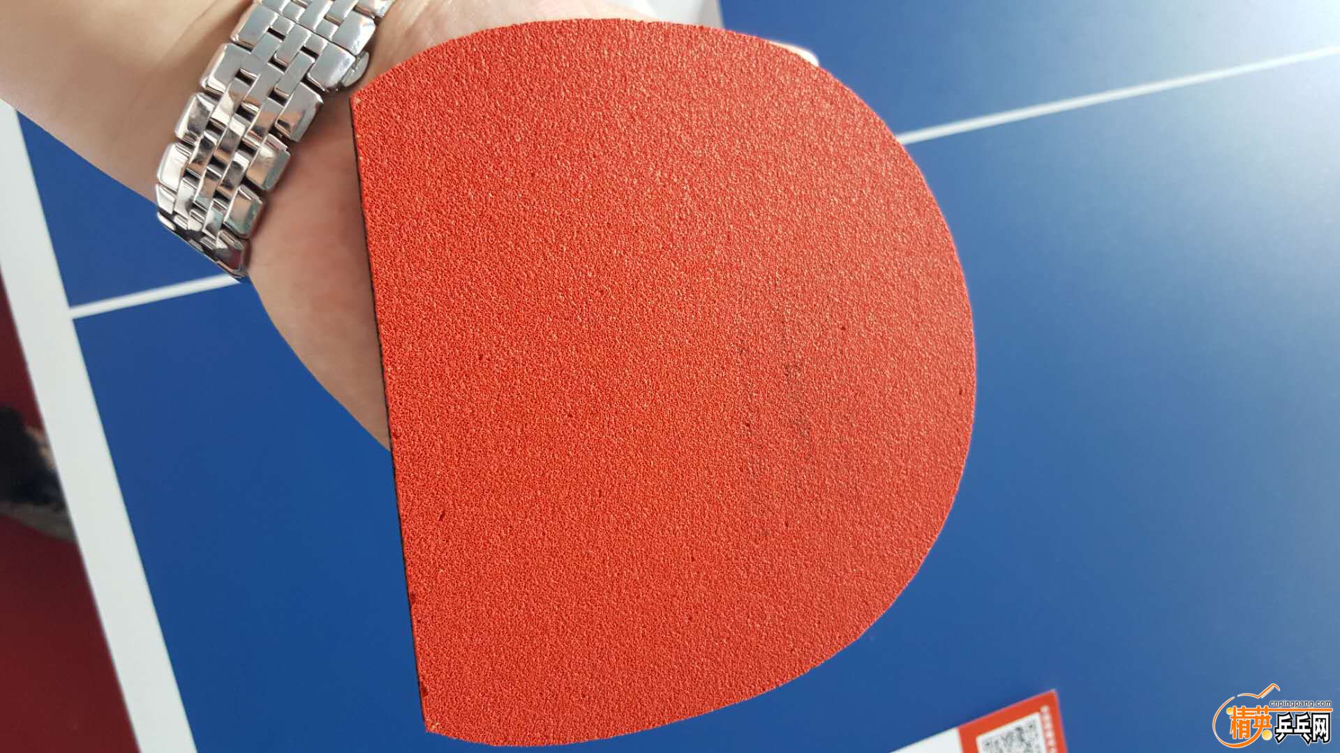 783344666.jpg