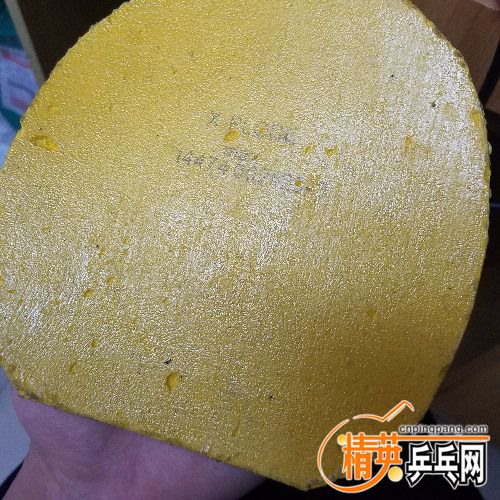20180509_164437.jpg