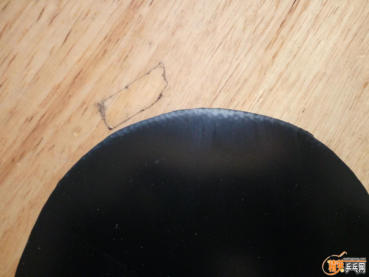 341098212.jpg