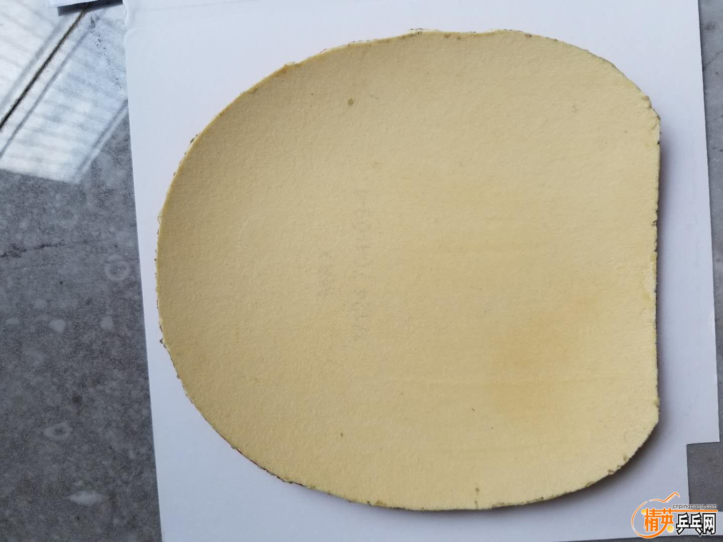 325946472.jpg