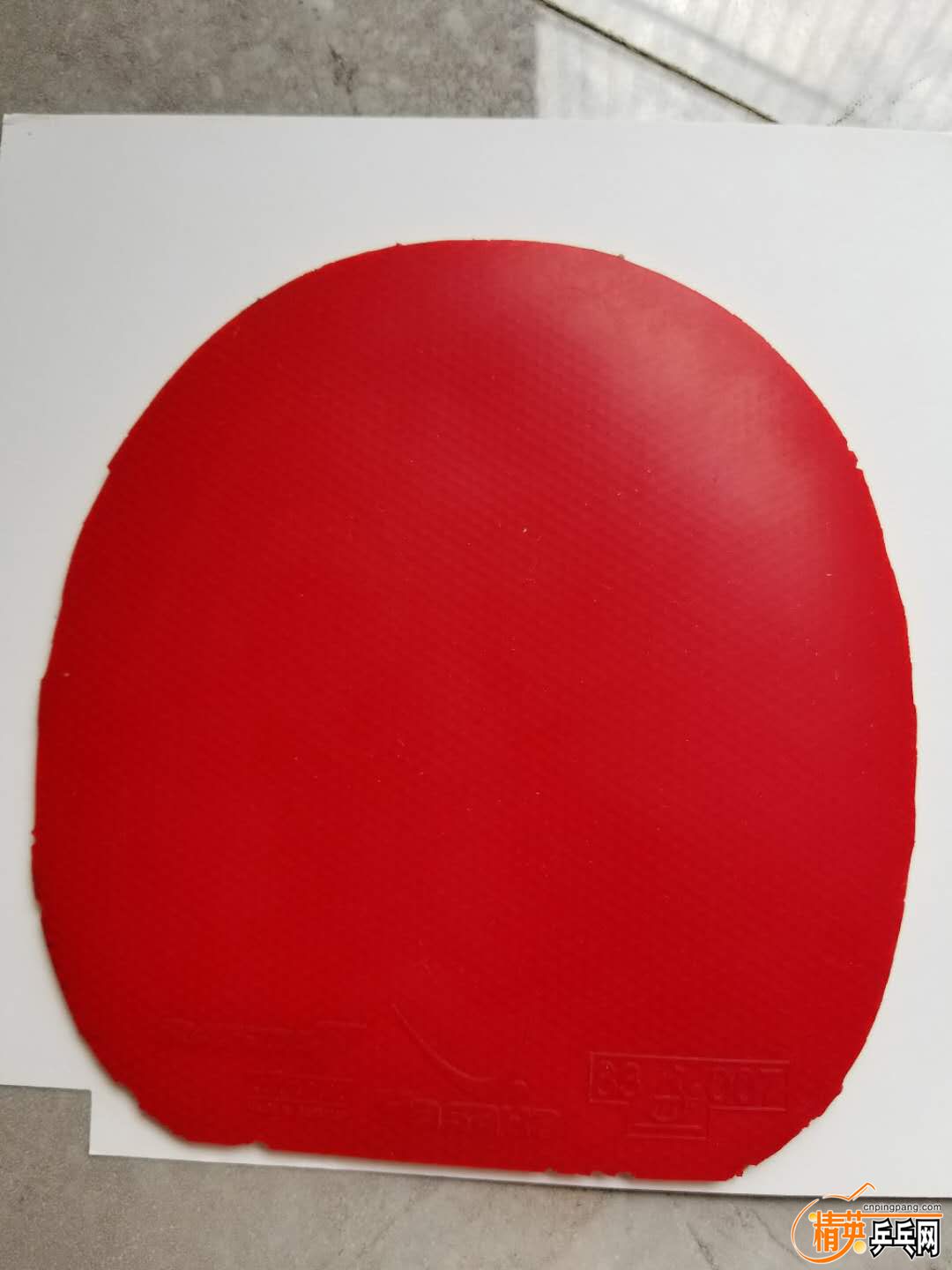 772560423.jpg