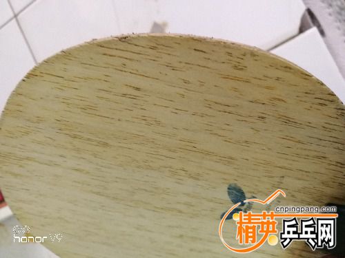 IMG_20180514_082515.jpg