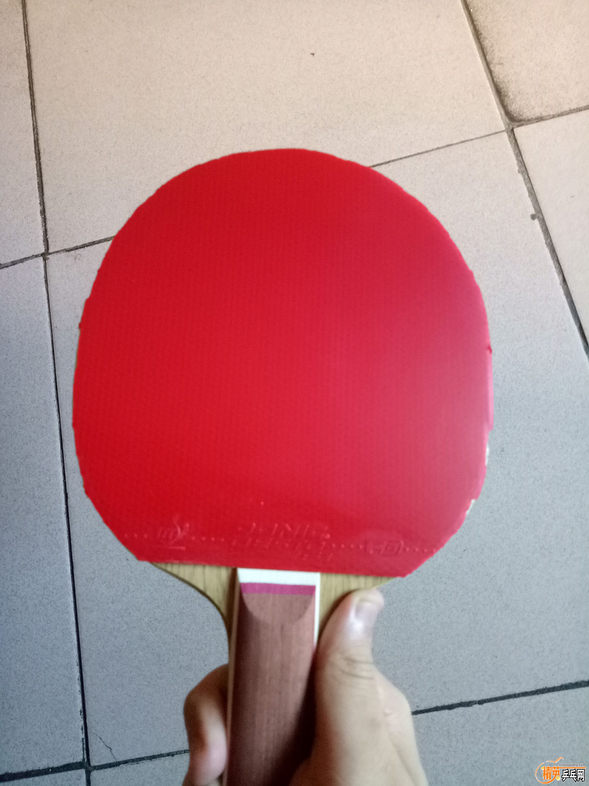 IMG20180514112143.jpg
