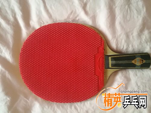 IMG_20180510_080656.jpg