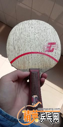 IMG_20180516_103810.jpg