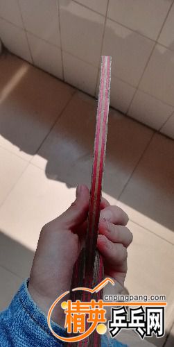 IMG_20180516_103822.jpg