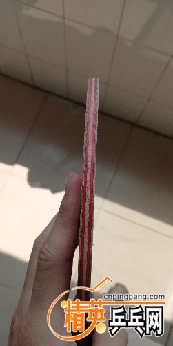 IMG_20180516_103829.jpg