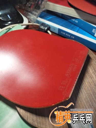 IMG20180516110904.jpg