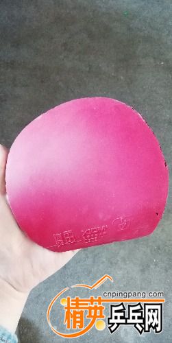 IMG_20180516_105919.jpg