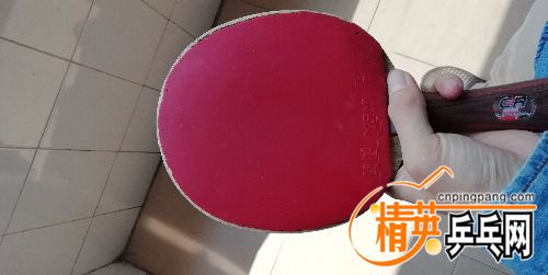 IMG_20180516_103945.jpg