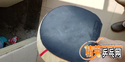 IMG_20180516_104144.jpg