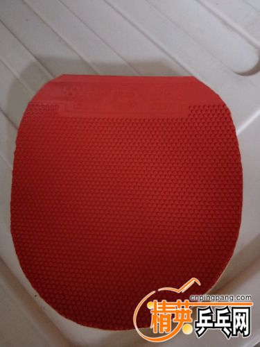 IMG20180520073926.jpg