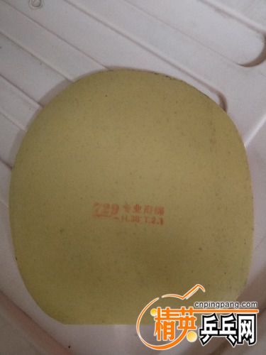 IMG20180520073935.jpg