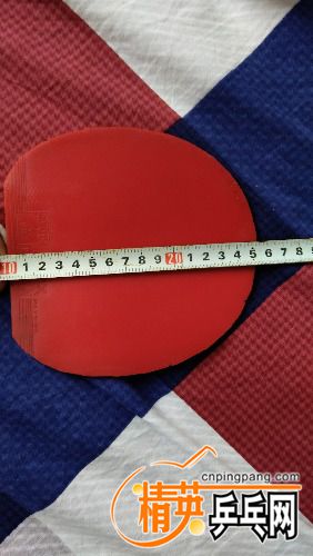 IMG_20180519_161109.jpg