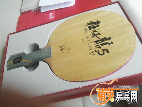 IMG_20180527_134913.jpg