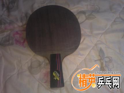 8171a40aee21c914c3da5e4197d08f8d_T1z1qtFX4dXXa4afU_time=1377702077000._430x430.jpg