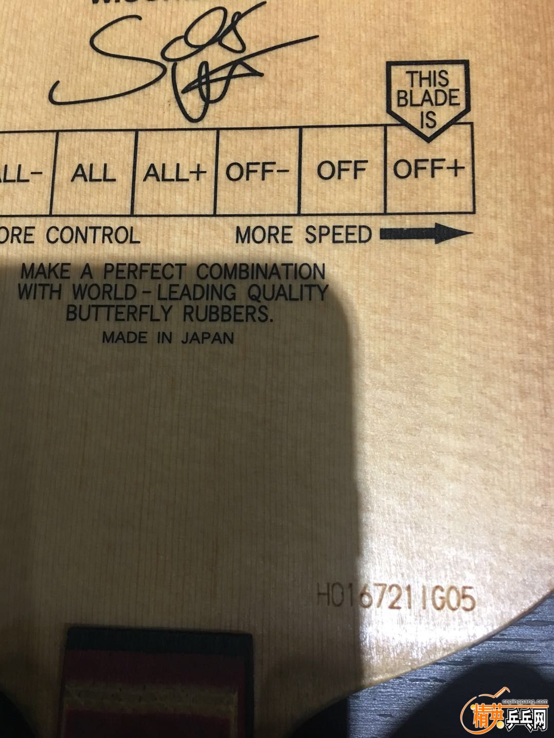 11878760025946001.jpg