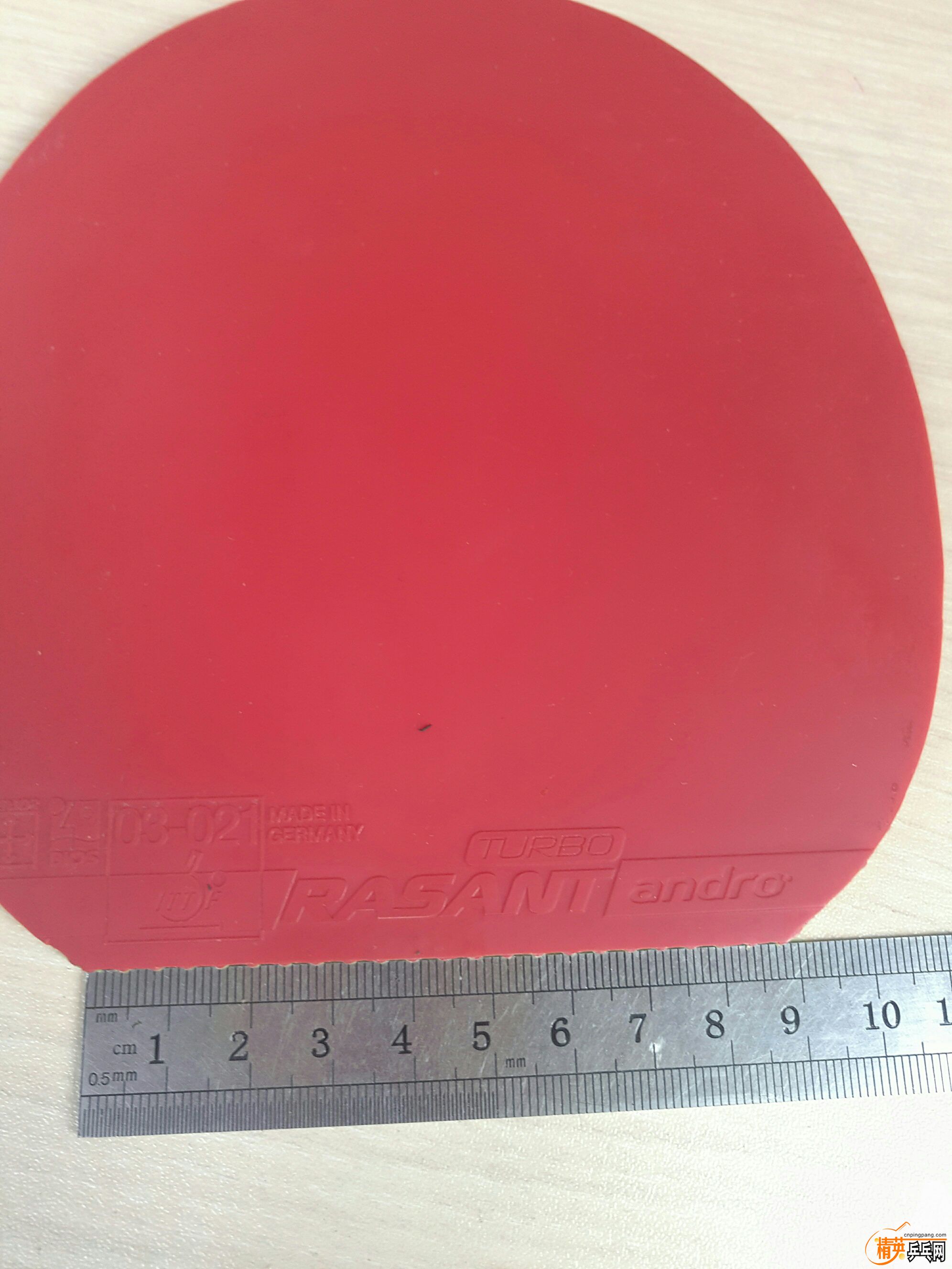 P80530-154551.jpg