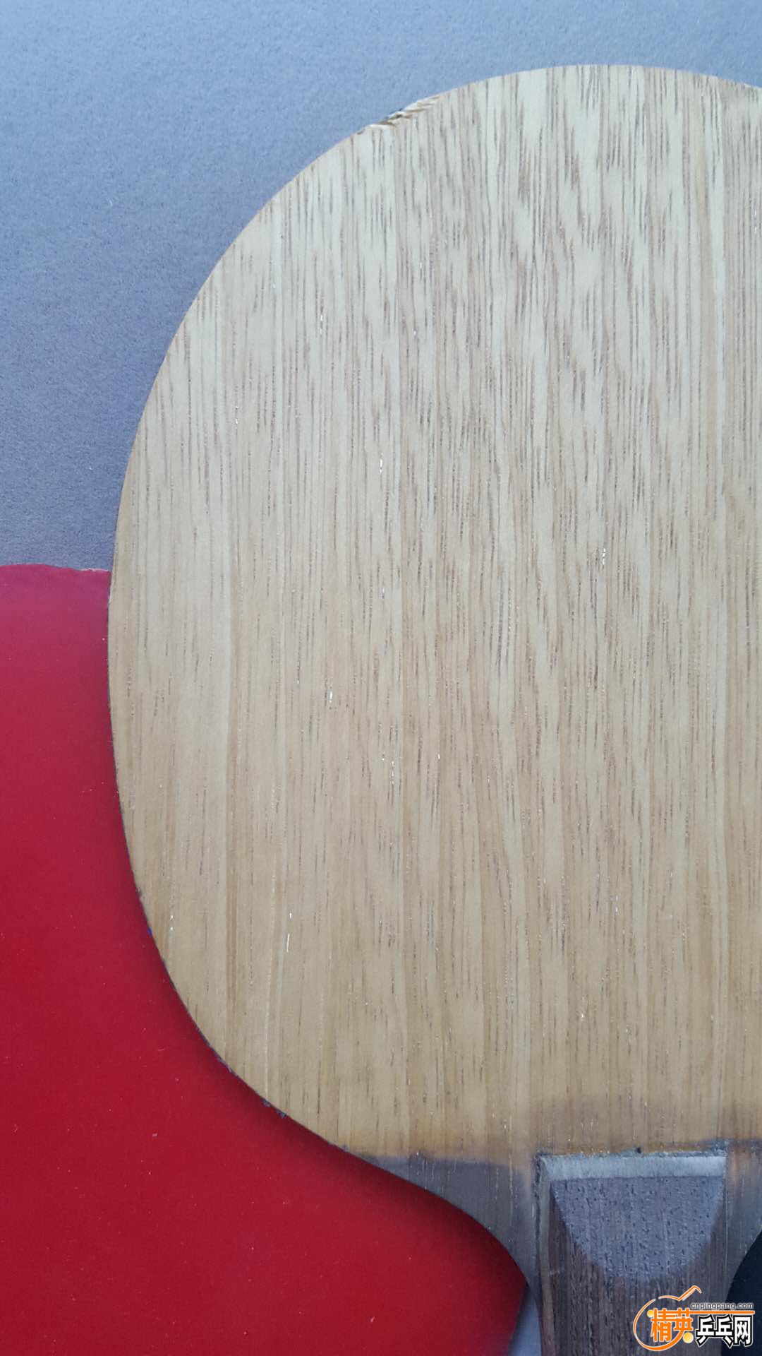 377005558233798344.jpg