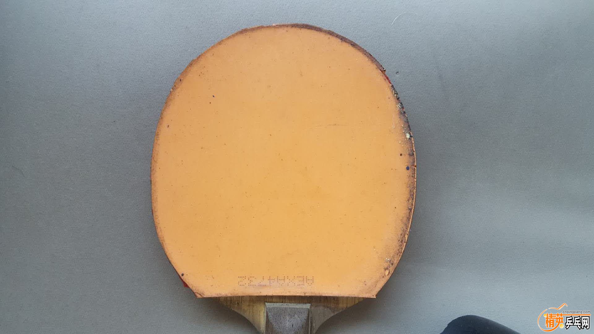 175450436989069539.jpg