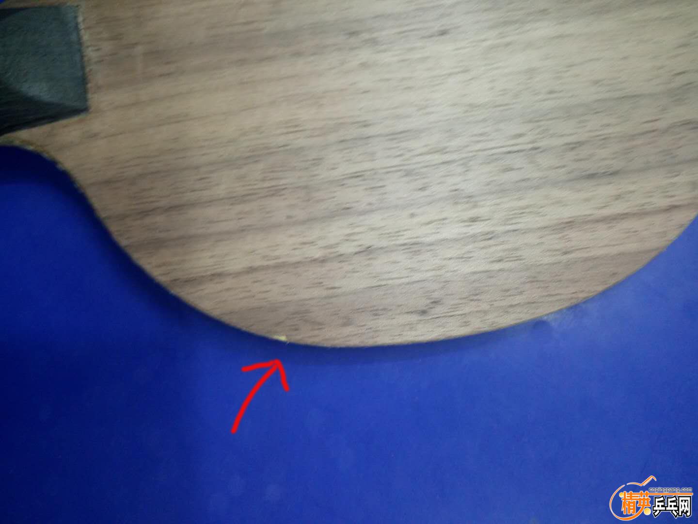 974214264.jpg