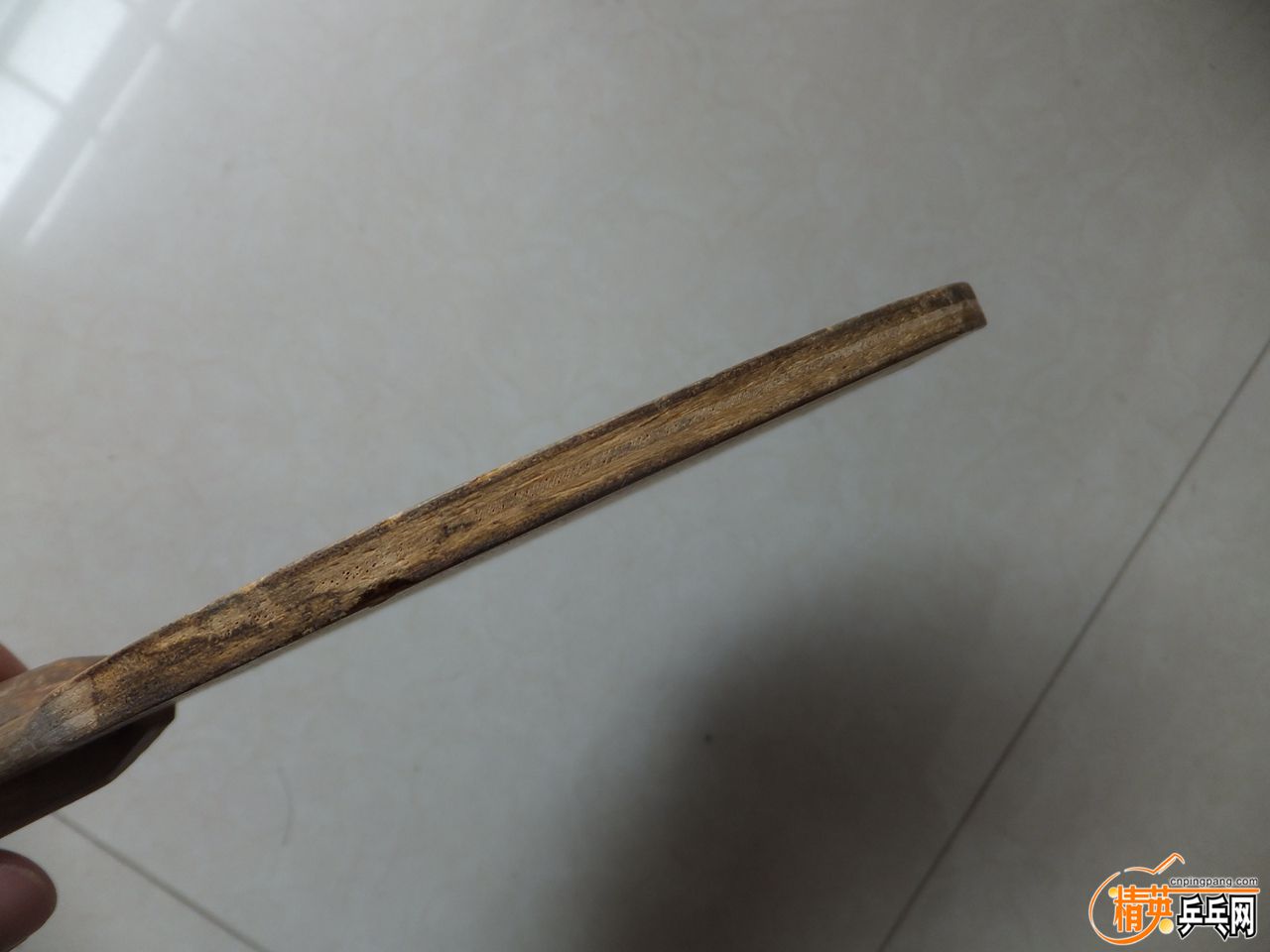 SK7 4.jpg