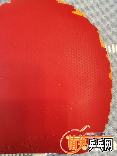IMG_20180603_151443.jpg
