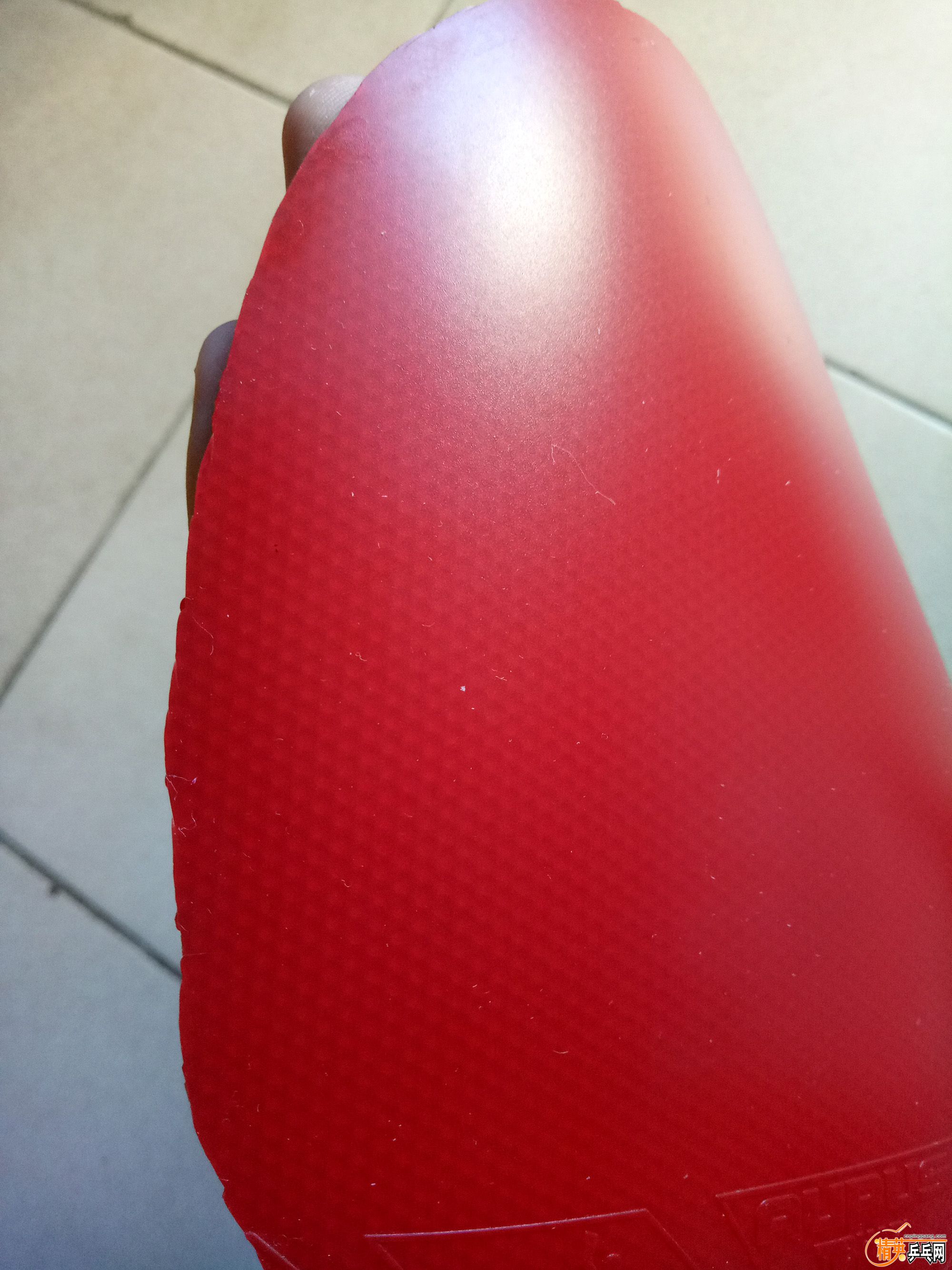 IMG20180604102112.jpg