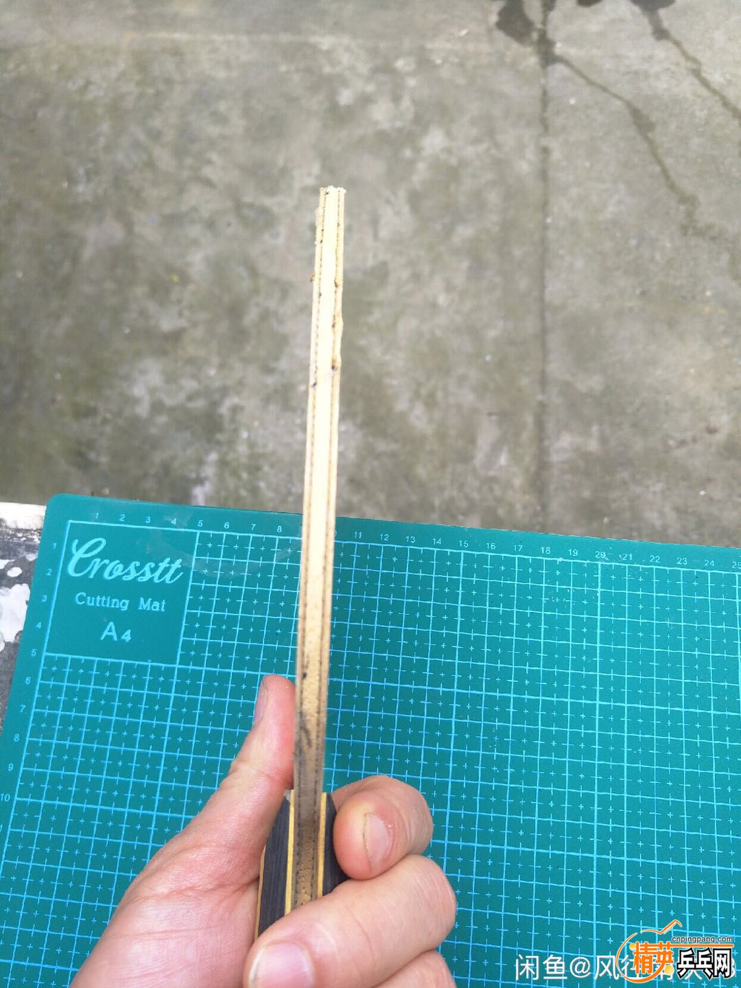 736003703980414955.jpg
