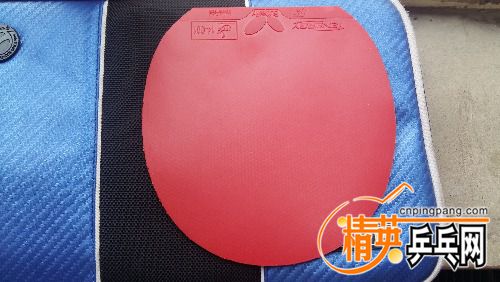 20180607_100619.jpg