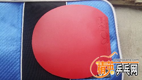 20180607_100611.jpg