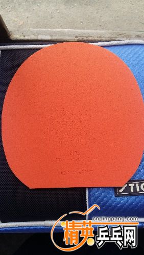 20180607_100551.jpg