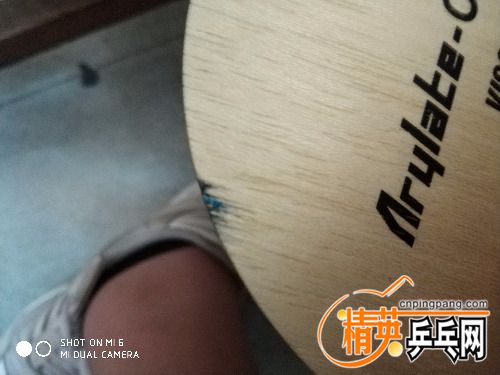 IMG_20180609_170932.jpg
