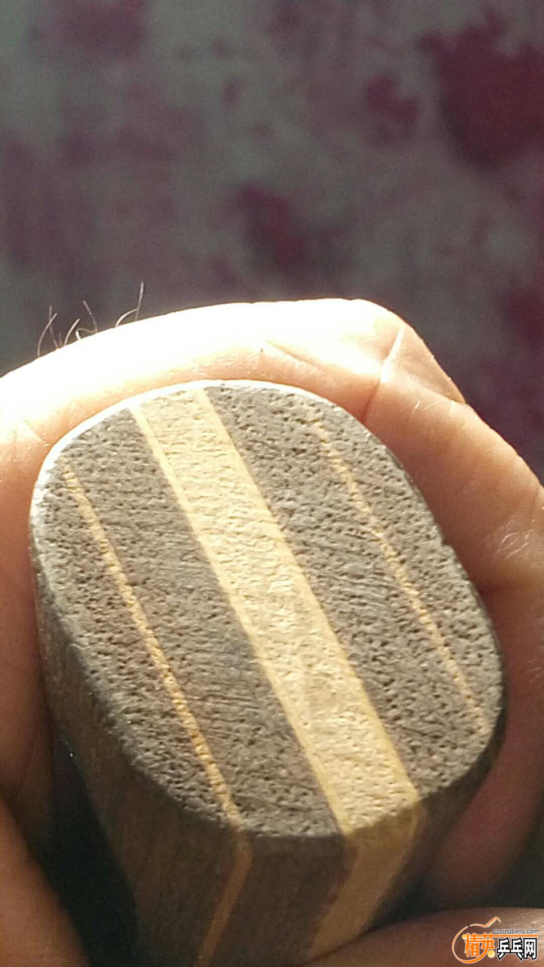 702021181.jpg