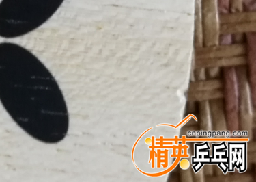 QQͼ20180612211552.png